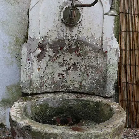 Costa Rral Nº 1066 * Ponta Delgada