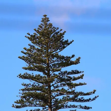 Costa Rral Nº 1066 *